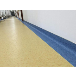 海南塑膠地板公司、海南塑膠地板、君衡(查看)