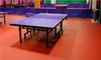 pvc塑膠地板塑膠地板 運動地板高規(guī)格防滑耐磨