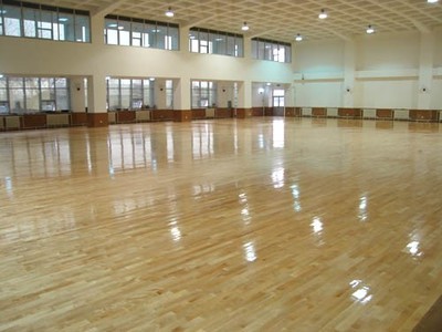 塑膠地板與運(yùn)動(dòng)場地材料全解析 哈爾濱塑膠跑道、人造草坪及塑膠球場施工