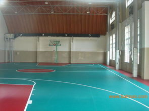 塑膠地板概述 類型、應(yīng)用與價(jià)格指南