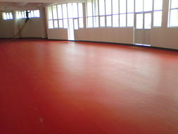 石家莊、唐山、秦皇島、邯鄲、邢臺PVC塑膠地板供應(yīng) 專業(yè)運(yùn)動(dòng)場地解決方案